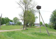 Nematyti neregėti dalykai, trapus šykštuolės cibulio laiškas, nekrikštytos žemės monai ir kaip jaunieji ūkinykai Smetonos laivu jūron važiavo