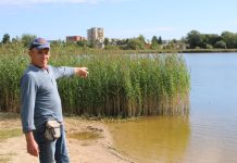 Prie Dauniškio ežero – sukrečiantis įvykis
