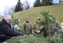 Miškininkai dalijo eglių ir pušų šakas, zuikio krūmais padabintas