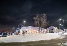 Arboristų dovana Lietuvai – vėliavos medžių viršūnėse