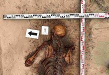 Reikalinga visuomenės pagalba nustatant septynių pokario laisvės kovotojų palaikų tapatybes