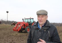 Pavasarį sugrįžtantis gandras – savas paukštis, kuris visada laukiamas