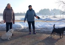 Su pavasariu grįžtanti problema, arba kai aplinka, kurioje gyvename, priklauso nuo mūsų pačių