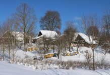 Keturių mamų išaugintas, gelbėtojas nuo piktojo barono ir kaip vairuotojas griebėsi kryžių dirbinti