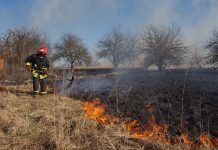 Pražūtingi pievų gaisrai, arba kai žmogaus kvailumui ribų nėra