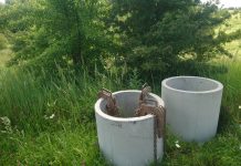 Šulinys per vieną dieną ir modernūs nuotekų sprendimai – viskas iš vienų rankų