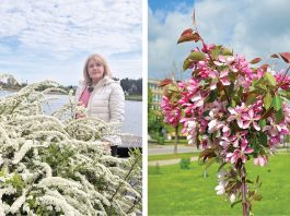 Utenos želdynais besirūpinanti Jolanta Tumienė: „Utena galėtų tapti rojaus obelaičių miestu“