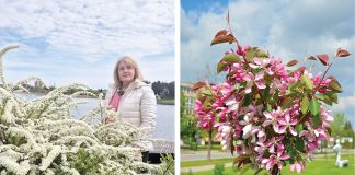 Utenos želdynais besirūpinanti Jolanta Tumienė: „Utena galėtų tapti rojaus obelaičių miestu“