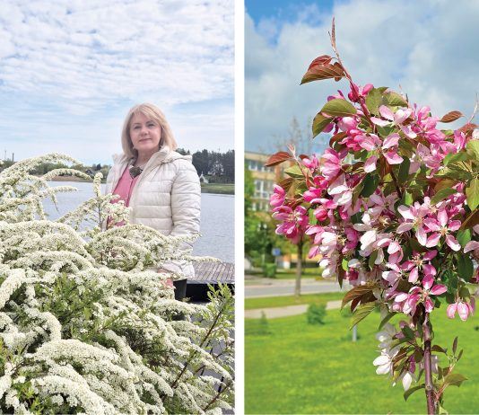 Utenos želdynais besirūpinanti Jolanta Tumienė: „Utena galėtų tapti rojaus obelaičių miestu“