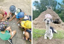 Vaikų vasaros stovyklose – nuo piemenėlių edukacijų iki putų šou ir veterinarijos pradžiamokslio