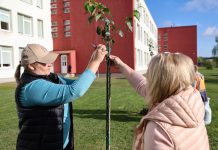 Dauniškio gimnazijos absolventų dovana miestui – sakurų parkas