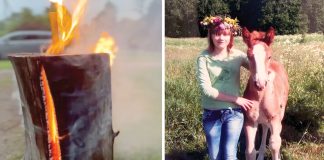 Atmintyje išsaugoti žirgai, arba kai vietoje Joninių laužo ugnimi žaižaruoja perskeltos kaladės
