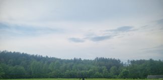 Ūkininkai dalijasi karčia patirtimi: dalis uogynų ir riešutynų neišgyveno