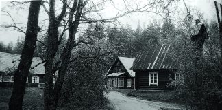 …Labiausiai pasiilgstu gaidžių giedojimo…