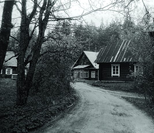 …Labiausiai pasiilgstu gaidžių giedojimo..