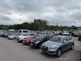 Kokiais automobiliais važinėja Utenos rajono gyventojai?