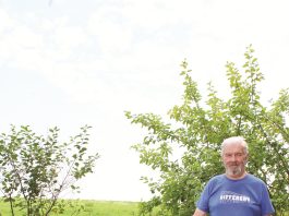 Ežere vokiečių pamesti sieliai, sodyba ant šunų tako, smagus kelias Skriaublos nugara ir išdavikės raudonos uogos