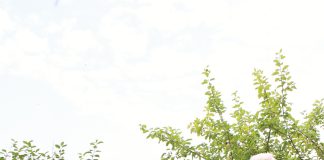 Ežere vokiečių pamesti sieliai, sodyba ant šunų tako, smagus kelias Skriaublos nugara ir išdavikės raudonos uogos