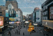 Kaip išsirinkti tinkamą reklamos plotą nuomai?