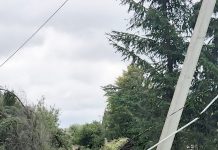 Audros padariniai – laikinas nepatogumas ar rimtas išbandymas?