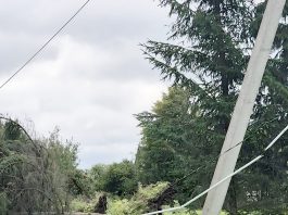Audros padariniai – laikinas nepatogumas ar rimtas išbandymas?