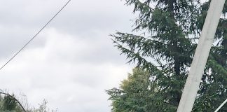 Audros padariniai – laikinas nepatogumas ar rimtas išbandymas?