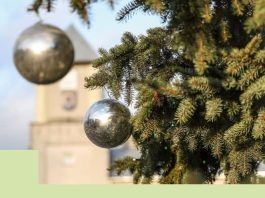 Kviečiame padovanoti Utenai Kalėdų eglutę