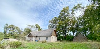 Ugnies nuglostyti kryžiai, kraujo pėdsakas, nuvedęs į Vorkutą, ir kaip pakabinti skalbiniai gelbėjo kaimo vyrus